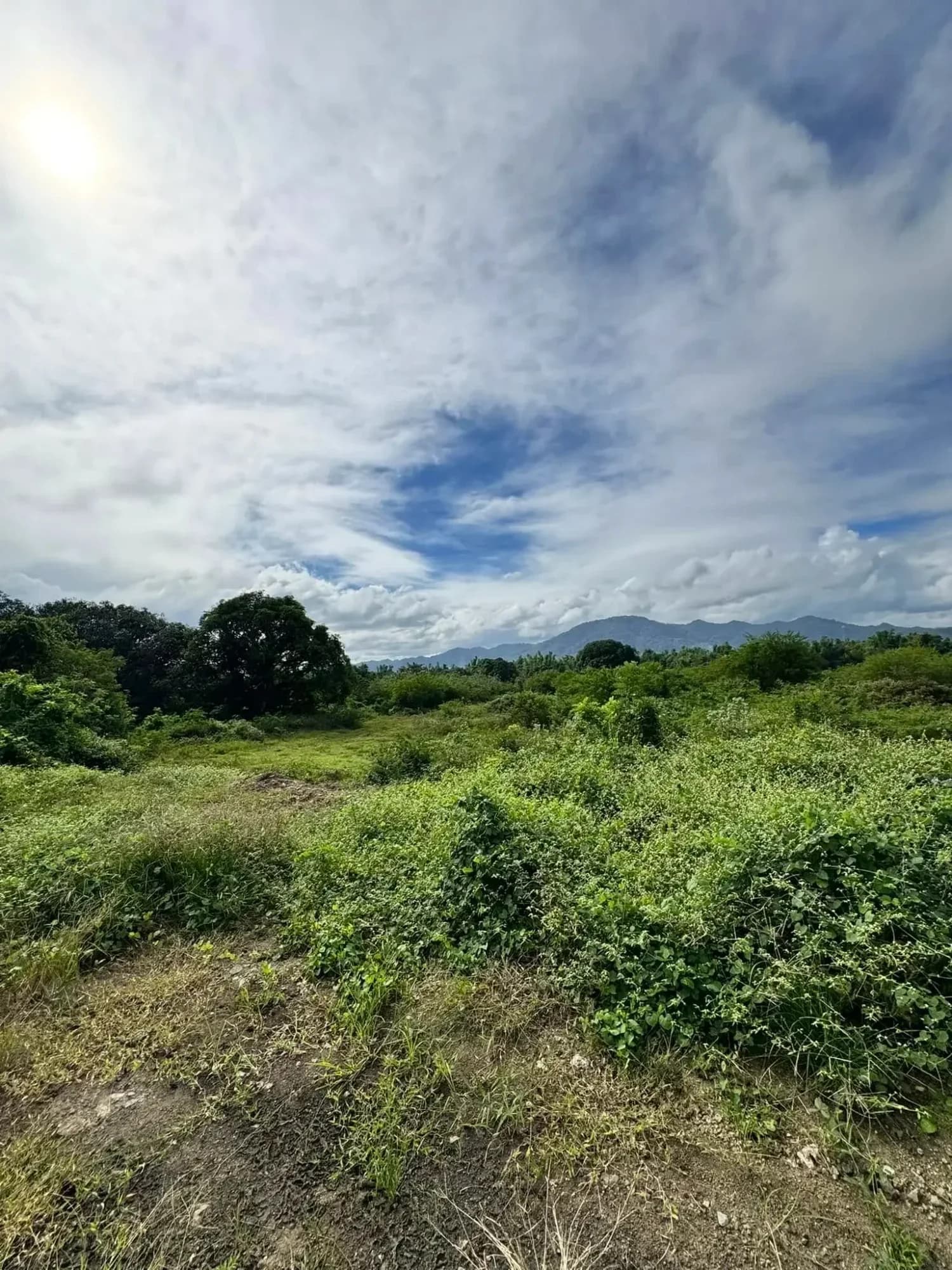 Lot For Sale in San Juan, Batangas