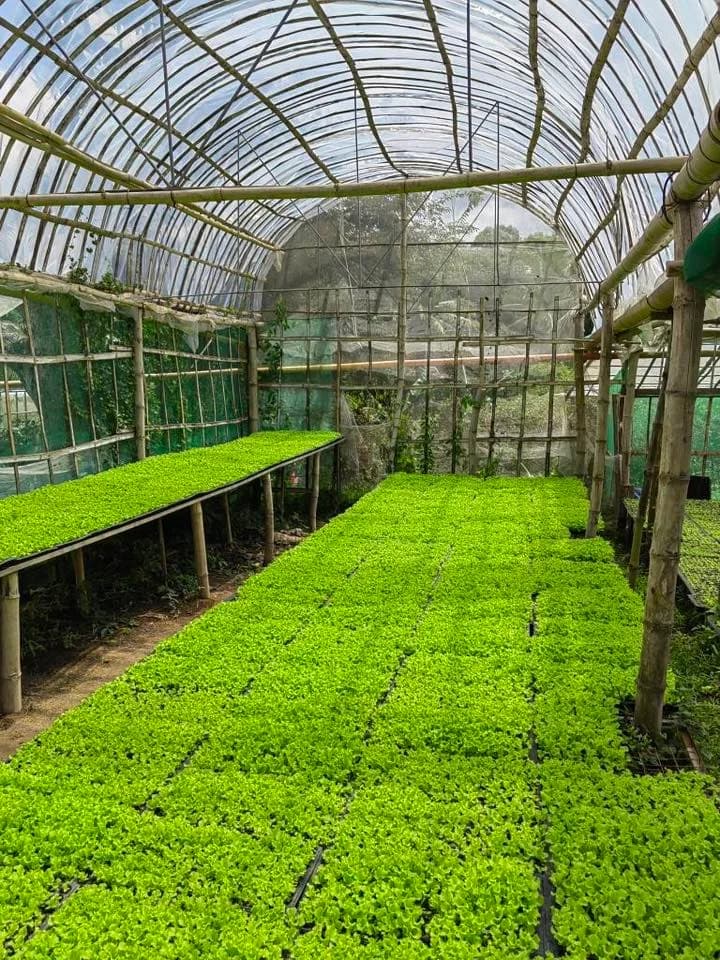 Income Generating Farm Lot For Sale w/Resto Grill, Agri Business & Tourism Rentals in San Jose del Monte, Bulacan