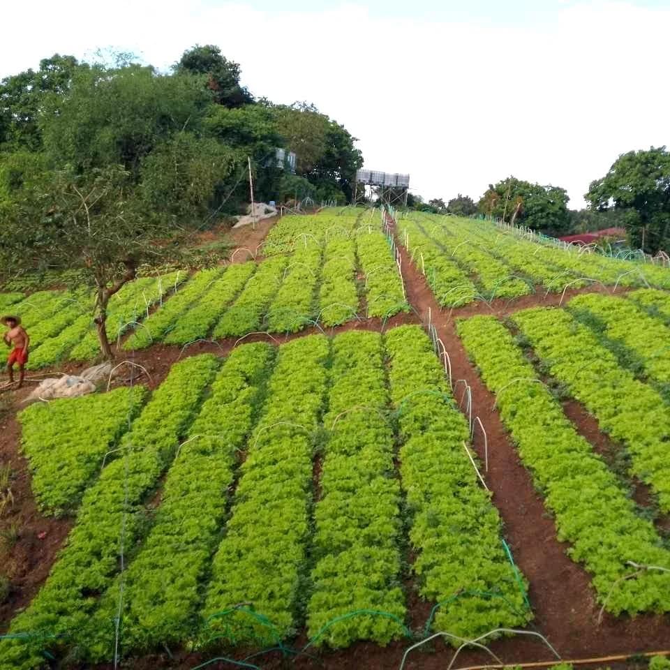 Income Generating Farm Lot For Sale w/Resto Grill, Agri Business & Tourism Rentals in San Jose del Monte, Bulacan