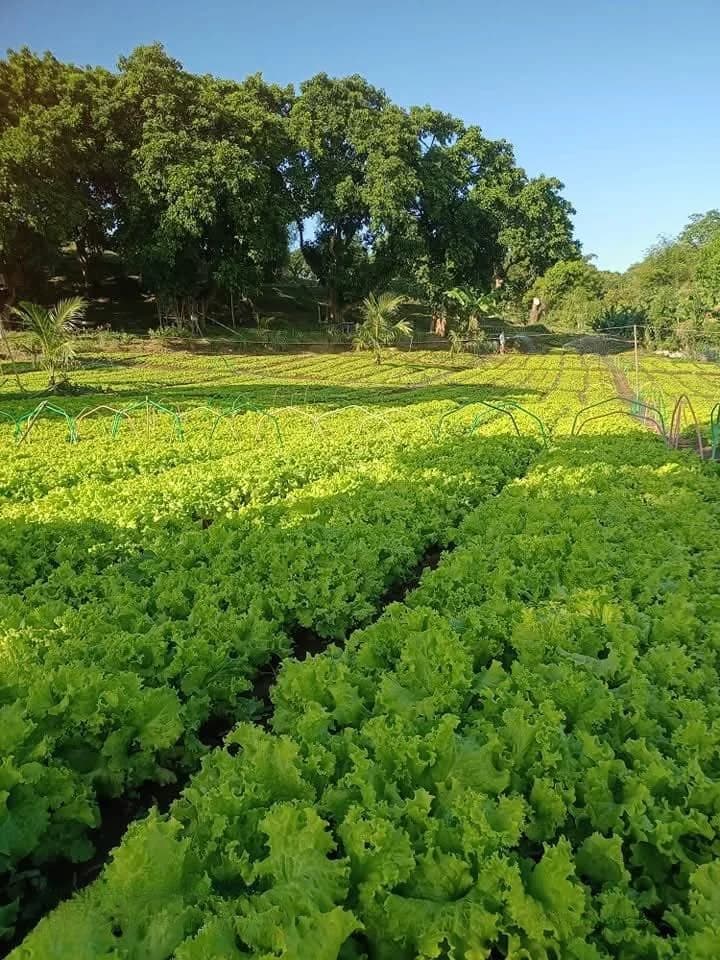 Income Generating Farm Lot For Sale w/Resto Grill, Agri Business & Tourism Rentals in San Jose del Monte, Bulacan